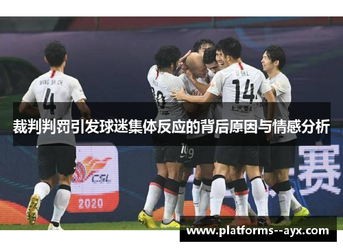 裁判判罚引发球迷集体反应的背后原因与情感分析