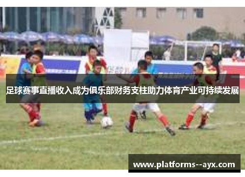 足球赛事直播收入成为俱乐部财务支柱助力体育产业可持续发展