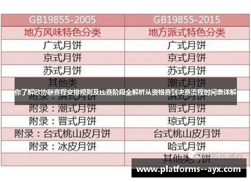 你了解欧协联赛程安排规则及比赛阶段全解析从资格赛到决赛流程时间表详解